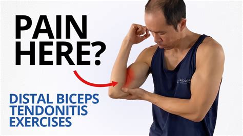Conservative management of <b>biceps</b> tendinitis consists of rest, ice, oral analgesics, physical therapy, or corticosteroid injections into the <b>biceps</b> <b>tendon</b> sheath. . Distal biceps tendonitis exercises pdf